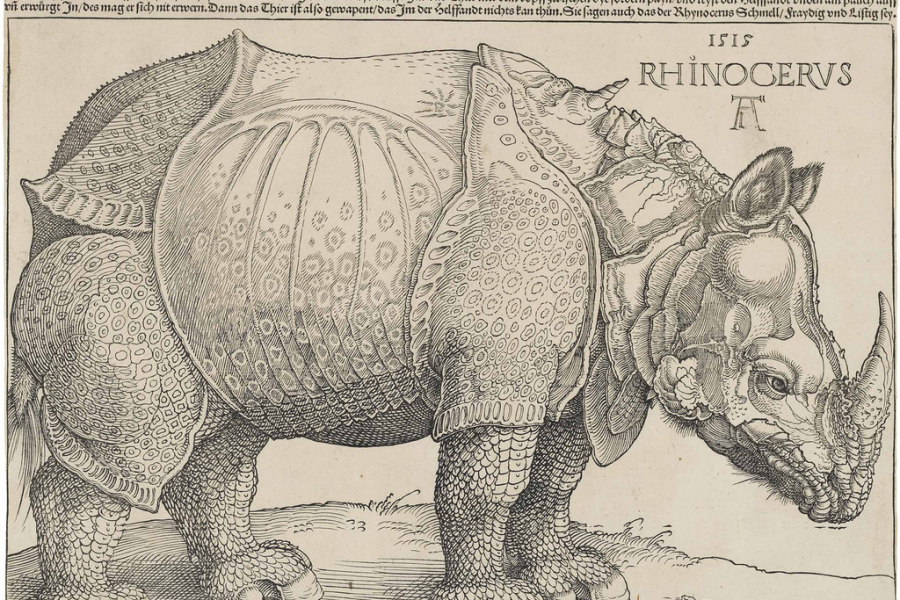 Woodcut of a rhinoceros by Dürer