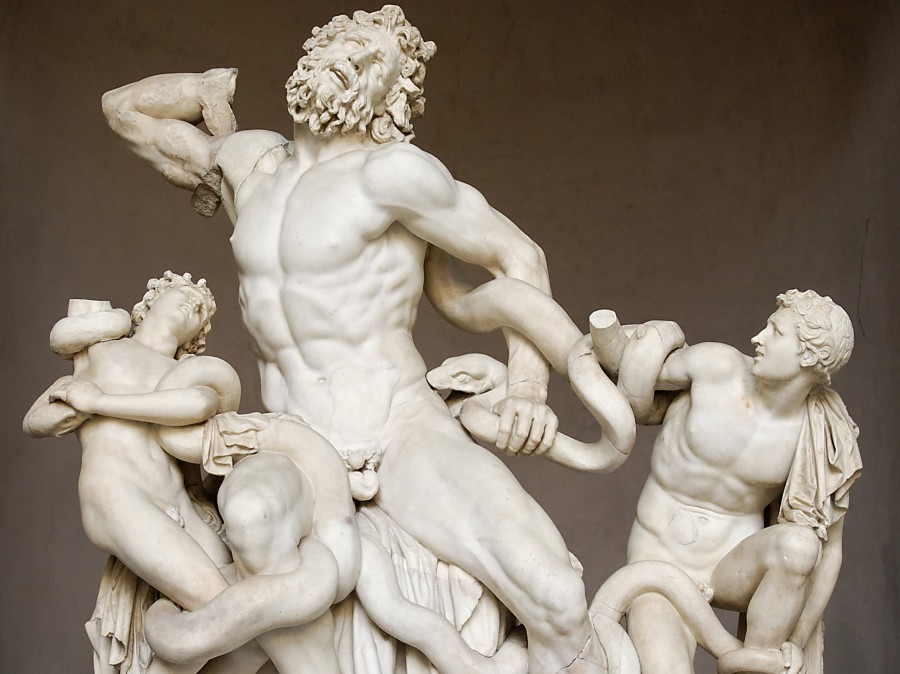 Image of the Laocoon