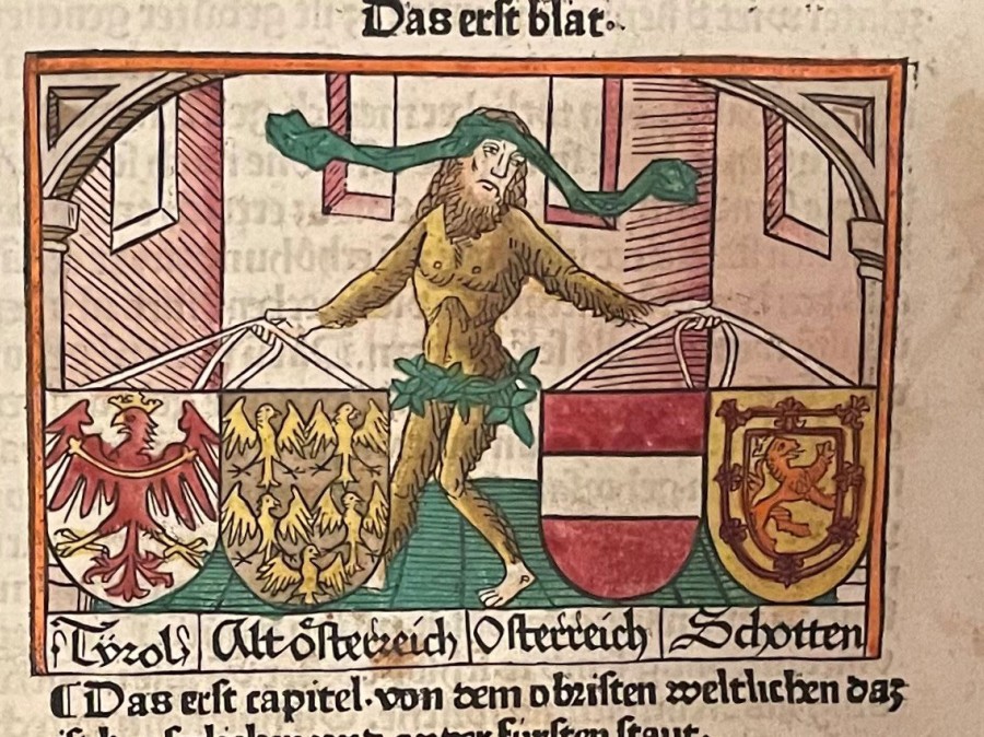 Medieval Artwork of a man holding shields with insignias
