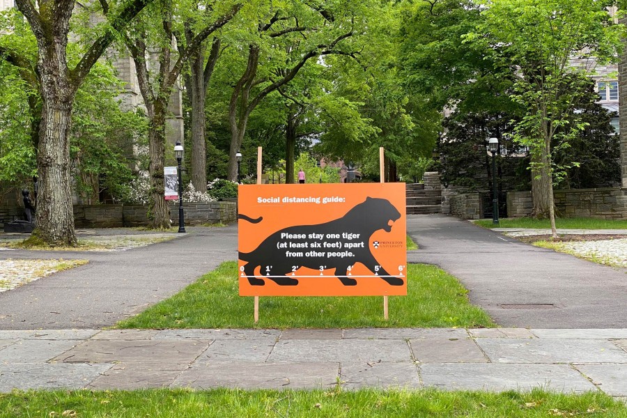 Tiger Six Feet Covid Distance Sign